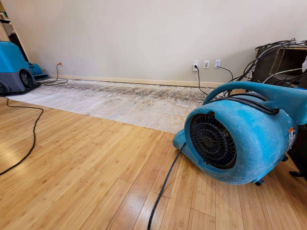 Professional Basement Flood Cleanup technician working in Scituate, MA